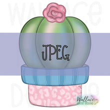 Load image into Gallery viewer, Short Cactus Planter JPEG