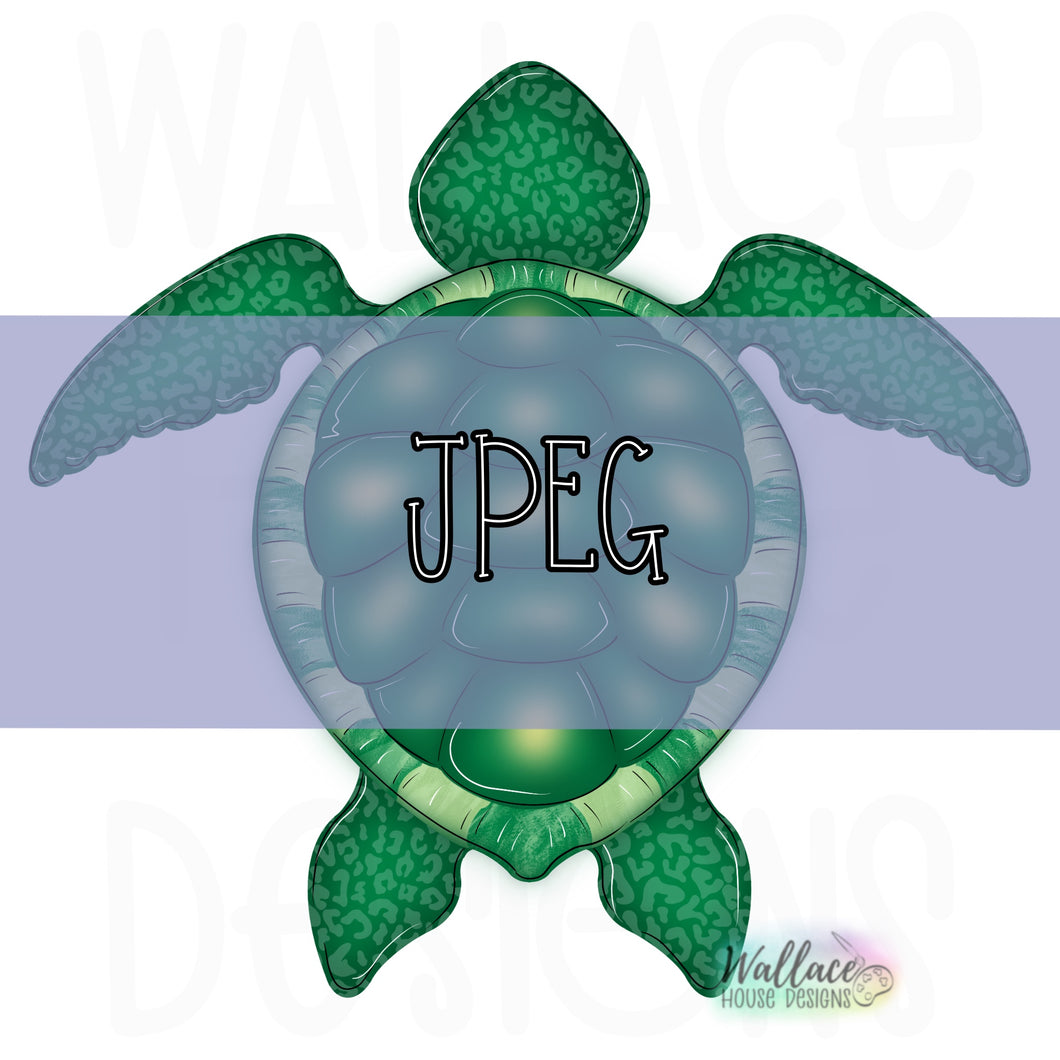 Sea Turtle JPEG