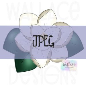 Magnolia JPEG