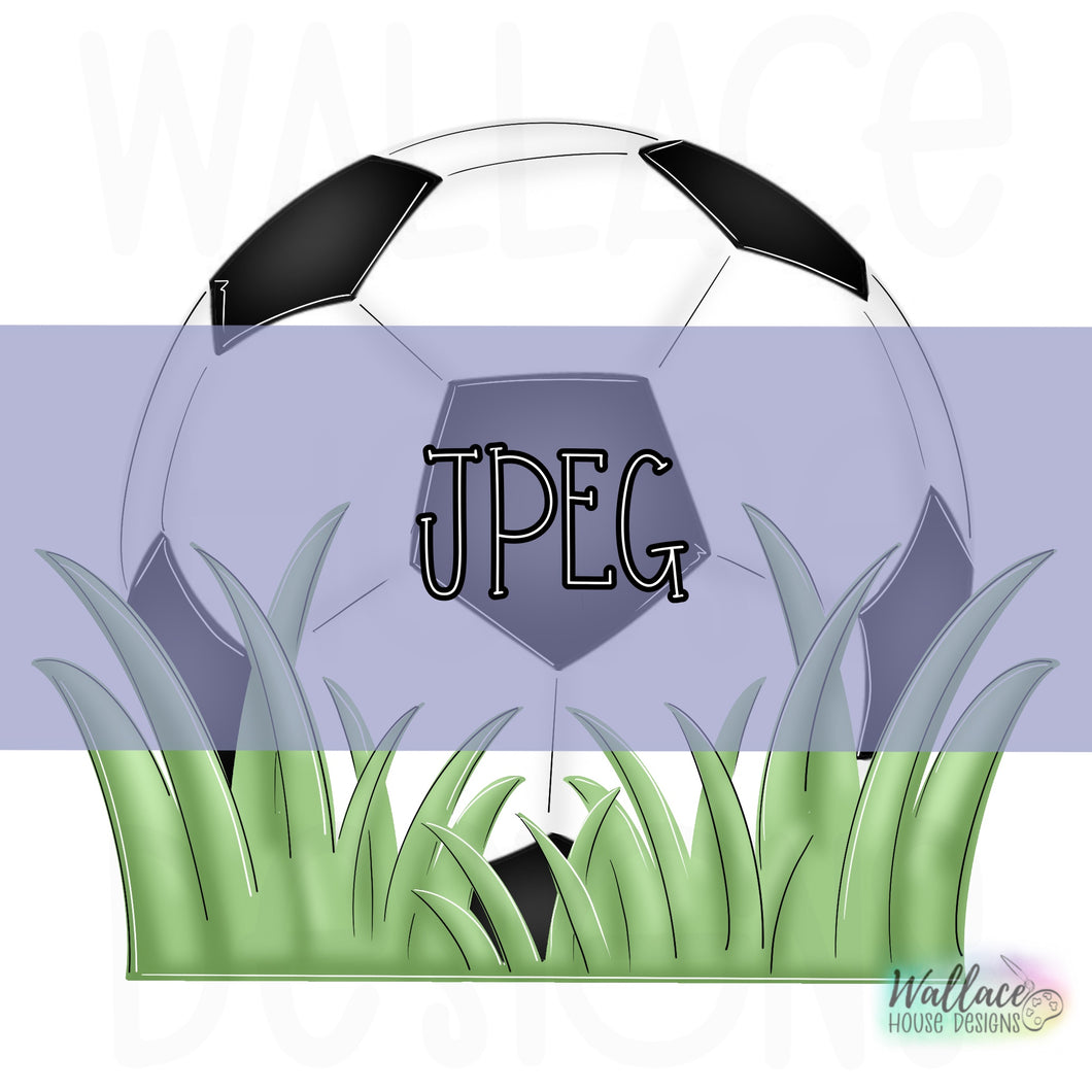 Soccer Ball in the Grass JPEG